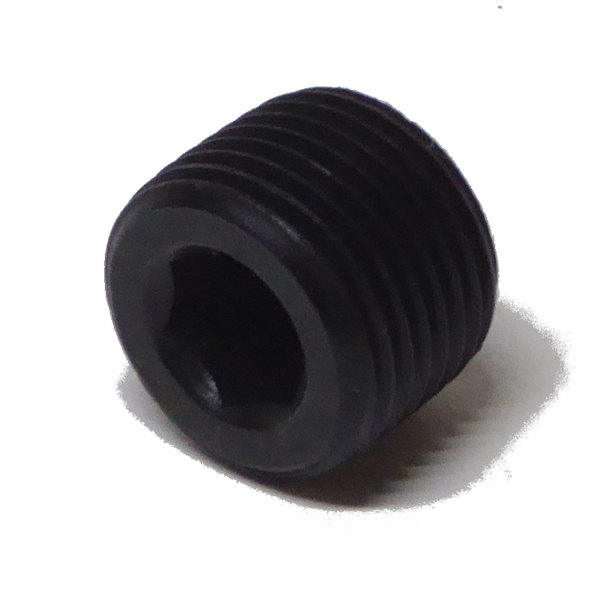 SPP16 Socket Pipe Plug 3/4-14 NPT  Steel Plain