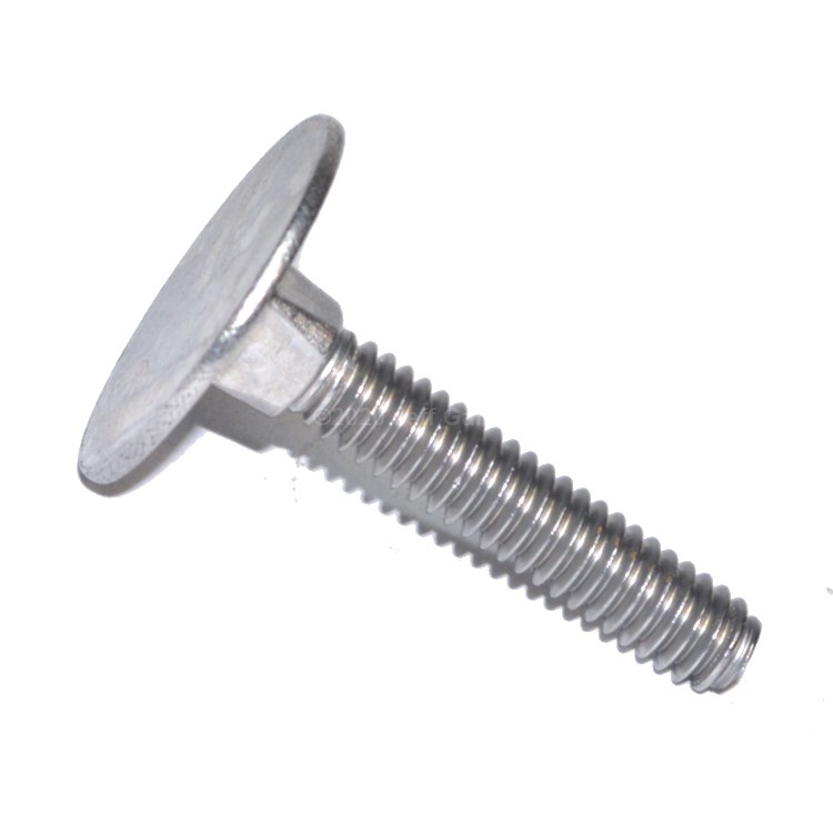 SEBC104 Elevator Bolt 1/4-20 X 1  Type 304 Stainless Steel